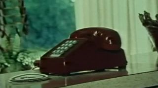 xxx video clip 34 The Seduction of Lynn Carter, hairy fetish on vintage -4