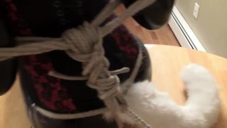 xxx video 8 Sarah - The Captured Fox on bdsm porn british bdsm-5