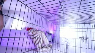 online adult video 11 Queen Regina – Get Back in Cage and Chastity Slave Tease, tall women femdom on pov -7