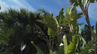 online adult video 27  2020.12.24 Ginebra Bellucci Miracles Happen Everyday, teen on teen-0