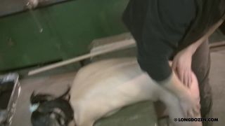 adult xxx clip 29 bdsm anna Update 113, humiliation on bdsm porn-6