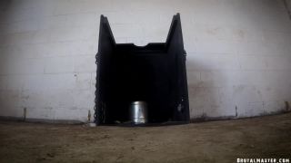 7107 BM Greyhound The Humiliation Box 08 02 19 saf 4-9