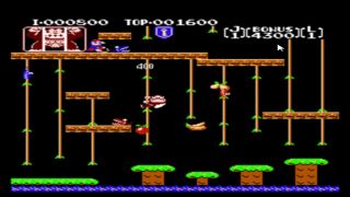 Video Games Let's Play Donkey Kong Jr.-2