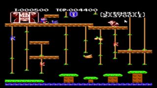 Video Games Let's Play Donkey Kong Jr.-6