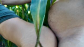 Porn Hub - Fill Me Up Like I m a Pig In a Corn Field - Good Girl And Dad - 2025 - Anal-0