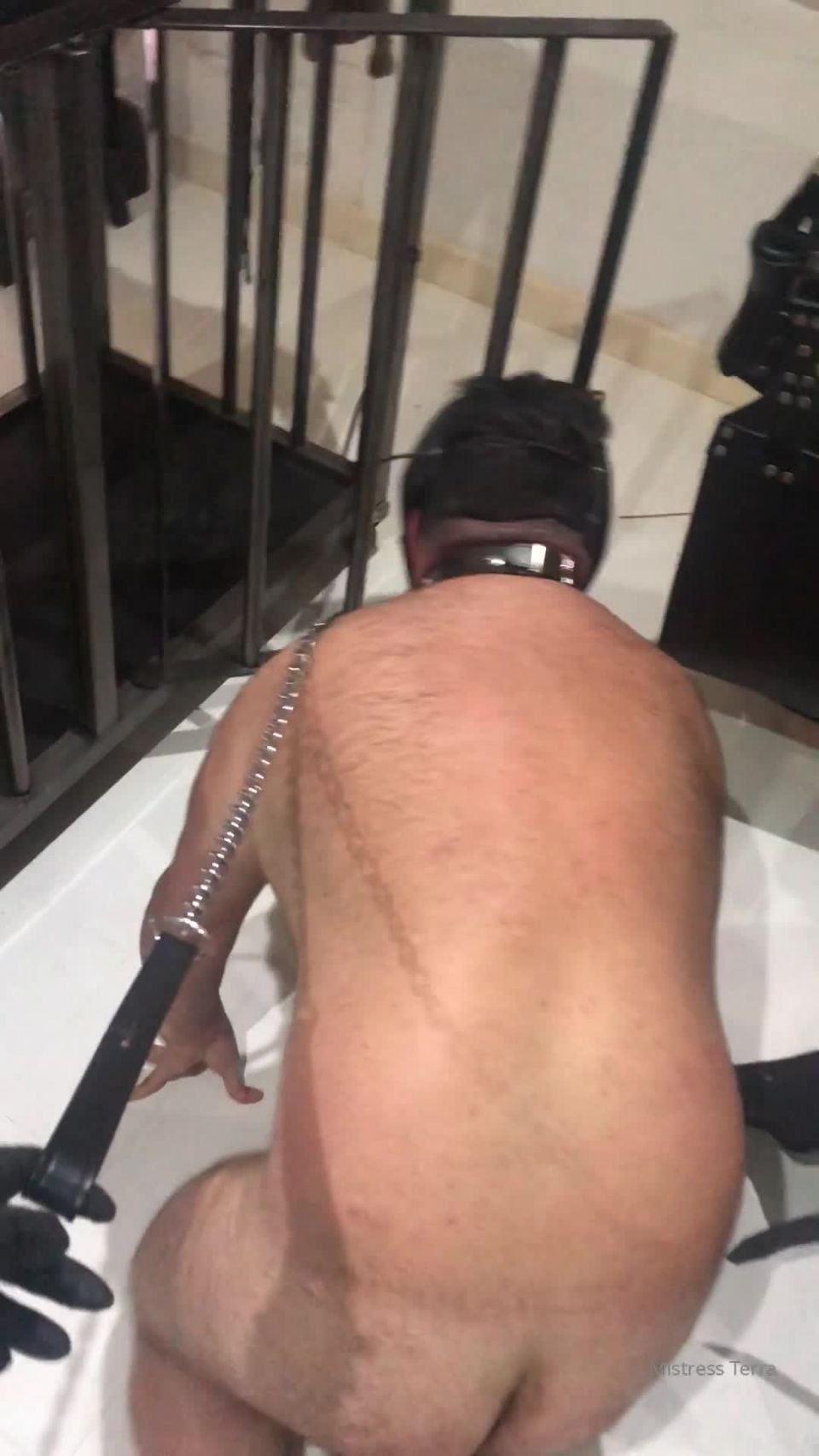 Mistress Terra - obeymistressterra () Obeymistressterra - cage time 19-10-2019
