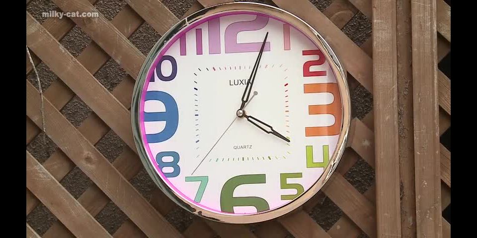 The Dried Bukkake Rei Mizuna (Japanese porn)