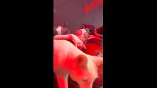 queen tahshaar qt163-7