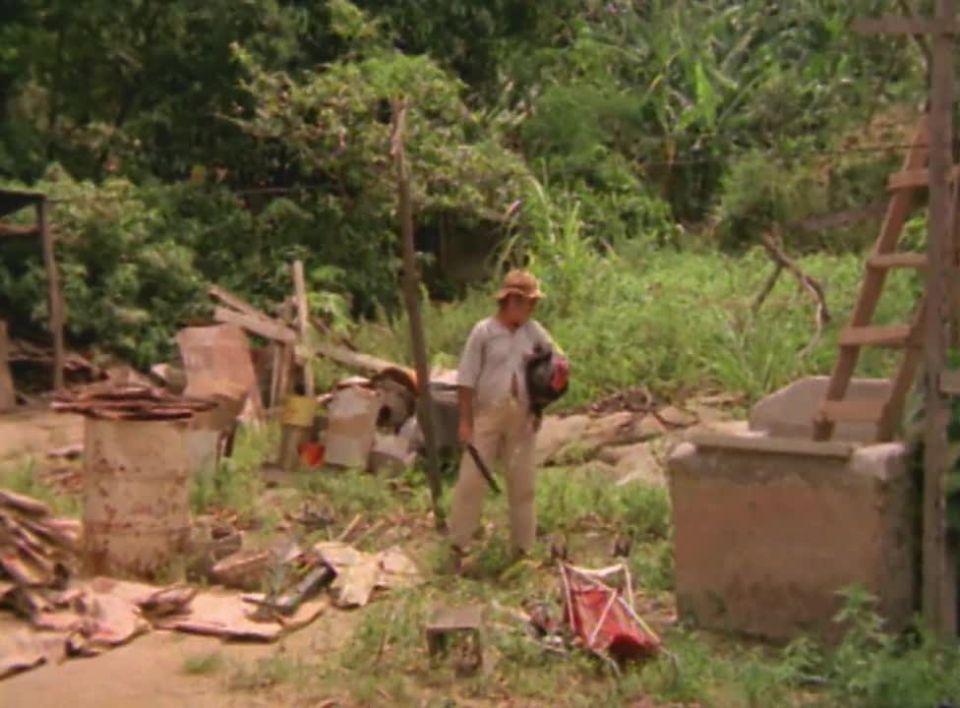 As Taradas Atacam (1978)!!!