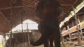 Little Asian Transsexuals 5 Scene 6-9