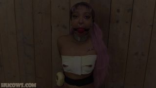 video 25 teen tits bdsm Hucows – Thiccy Niccy – her first Sybian session, thiccy niccy on bdsm porn-9