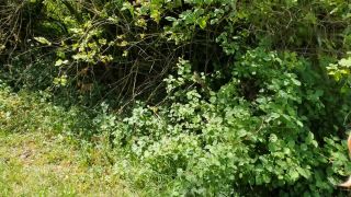 [K2S.CLUB] Lea_Stern - KAMERAABBRUCH - Wurden wir gesehen EX Freund geht seiner EHEFRAU mit m... - FullHD 1080P-2