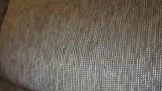 Online Tube Shemale Webcams Video for January 23, 2019 - shemales-8