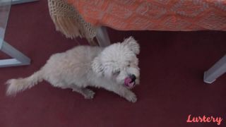 Lustery with violet in best laid plans - e300-9