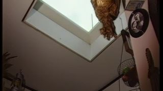 porn video 9 Kabinettstueckchen, gay fetish on fetish porn -3