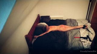 PSYCHOTHRILLERSFILMS - Ashley Laneproudlyownedpet-09-09-2021 (3)-3