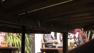 SophisticatedFlashers Marlyn 2 3 (mp4)-5