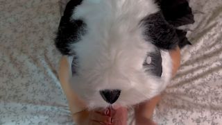 Aphrodixia 49432925 video 2023-01-11 20-02-1