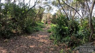 Abbie Storm aka Dora Cheri, Sammie - Naked Hiking On An Abandoned Island In The Adriatic Sea With Cheri Sam And Dora - Teen-8