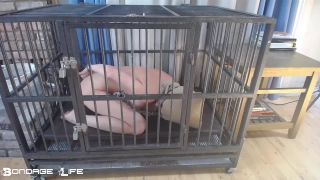 free online video 38 custom fetish Bondage Life – Cage Time With Greyhound – Rachel Greyhound, bondagelife on fetish porn-1