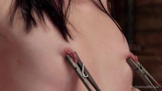 The Training of Dallas Black Sex Clip Video Porn Download...-2