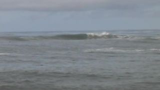 CameraBeach 2782-9