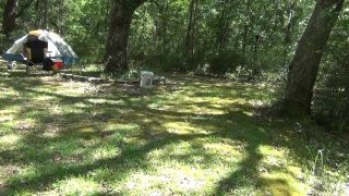 Drea Camper pt2 Video Sex Download Porn-1