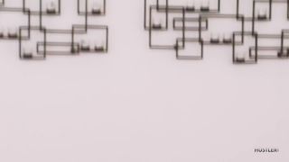 Hustler - elena koshka-9