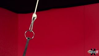 Maxine - Standing Strappado In Bondage, porn gia dimarco bdsm on bdsm porn -2