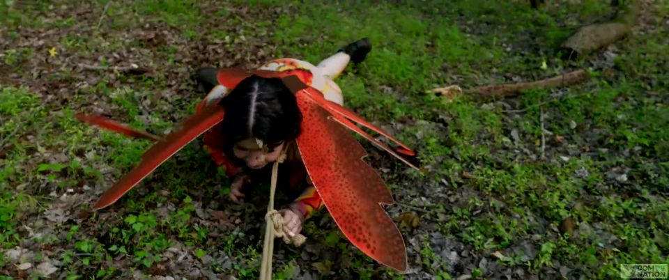 Just a Little Anal Bug in the Grass Quick View Porn - New...