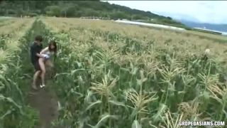 GropedAsians 602 (mp4)-6